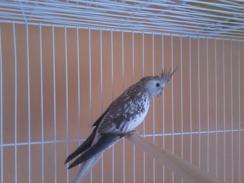 2015-04-28 11.03.47.jpg