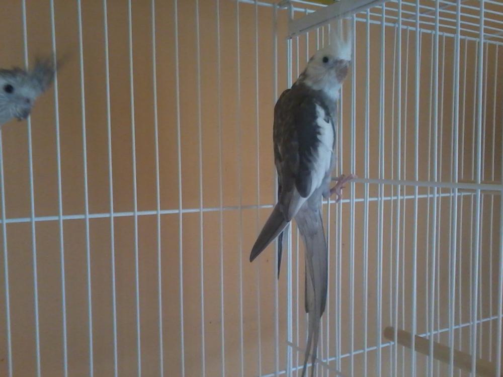 2015-04-28 11.04.08.jpg