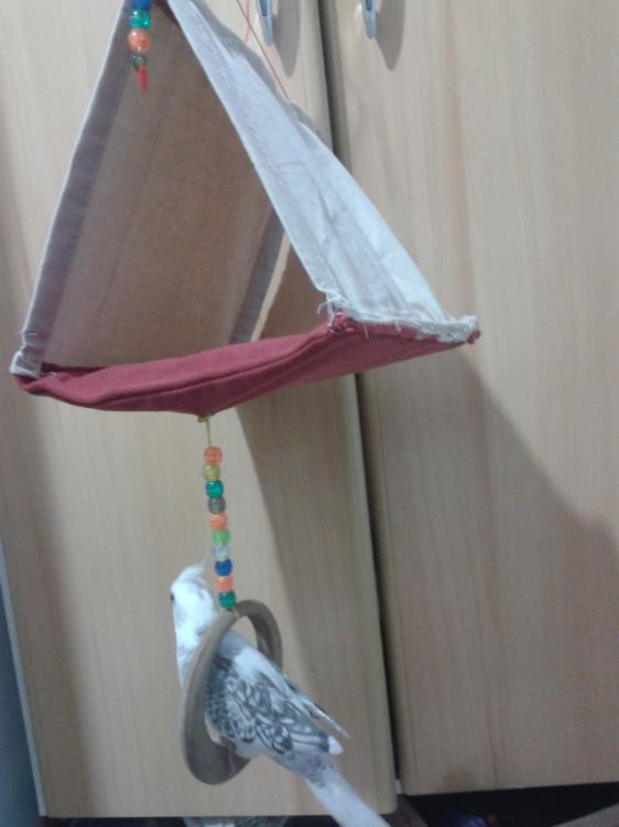 2015-06-09 21.30.13.jpg