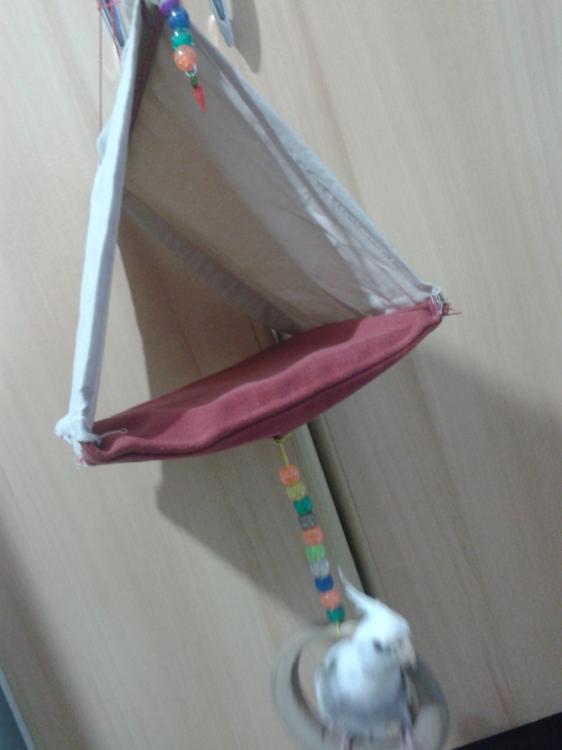 2015-06-09 21.30.26.jpg