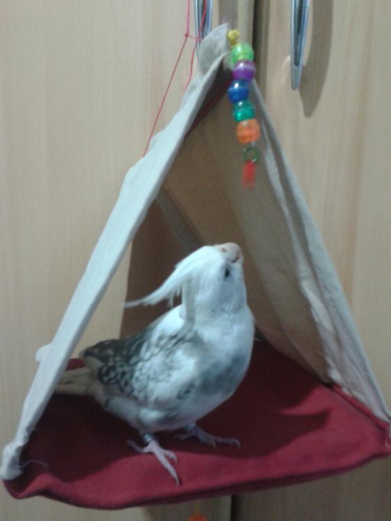 2015-06-09 21.30.59.jpg