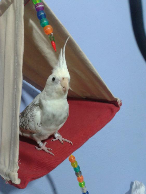 2015-06-09 21.33.12.jpg