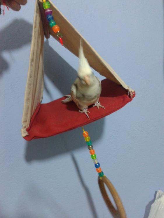 2015-06-09 21.33.38.jpg