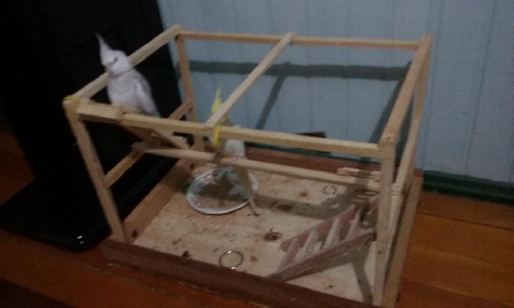 20150613_193259.thumb.jpg.22a258891561e0