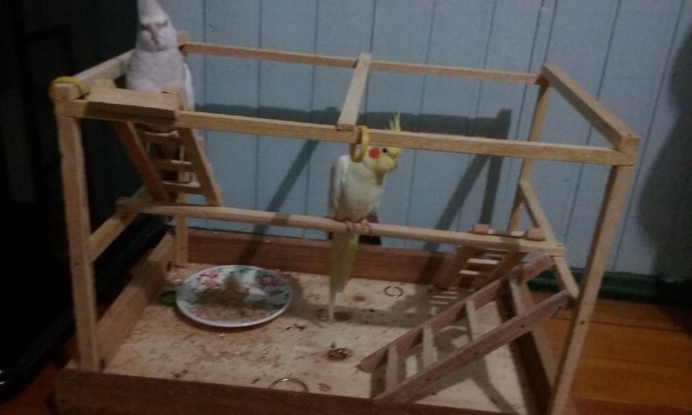 20150613_193321.thumb.jpg.cb83317346d36c