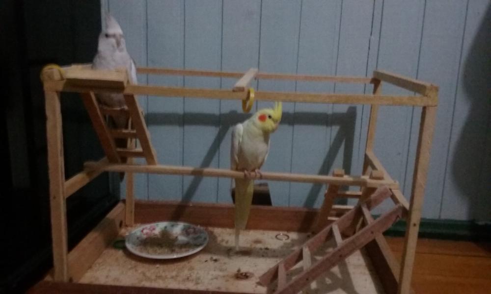 20150613_193333.thumb.jpg.6abde14c3958ff