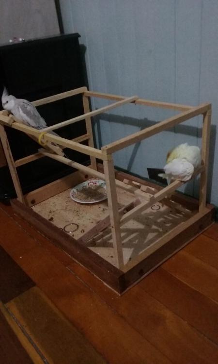 20150613_194427.thumb.jpg.7e7808fe57be9e