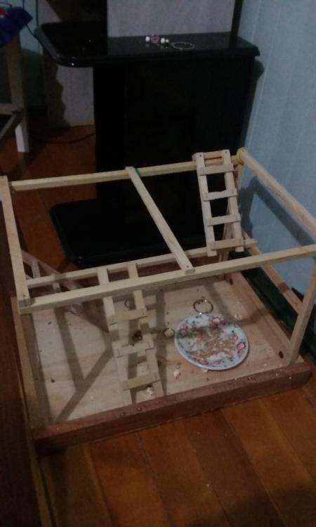 20150614_215957.thumb.jpg.4dd894e380f556