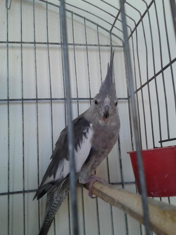 20150616_153146.thumb.jpg.c86d0e10fb0e84