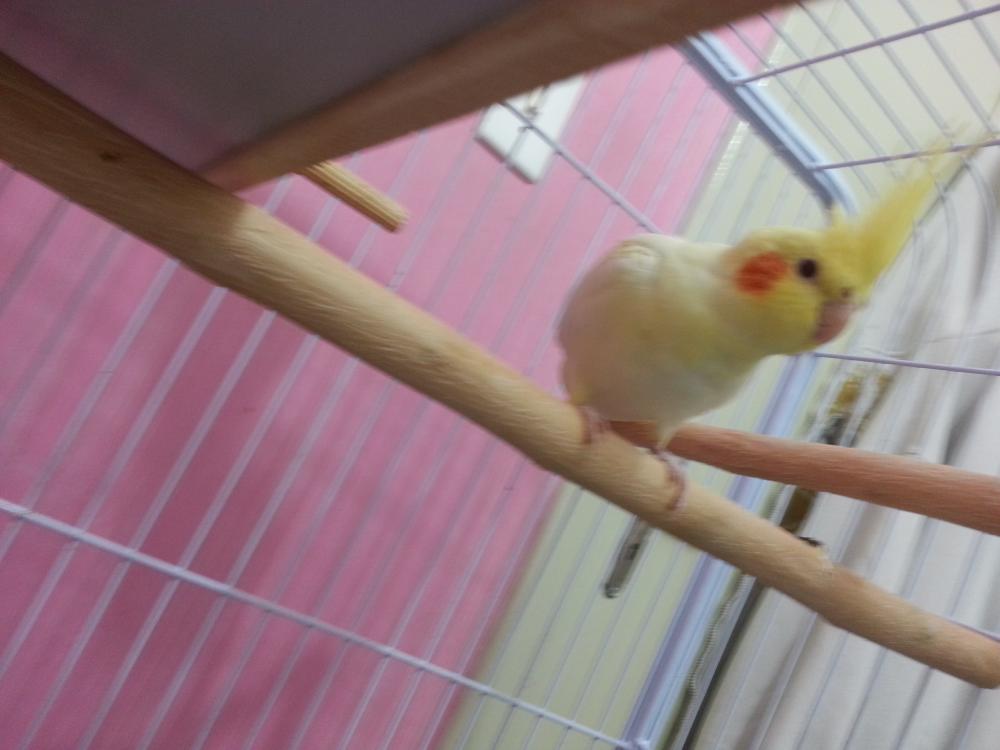 20150622_191223.thumb.jpg.4413bab343681a