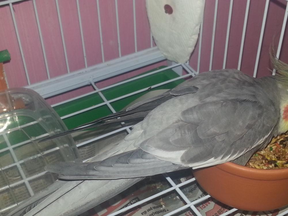 20150628_173257.thumb.jpg.d506d6e566d2f7