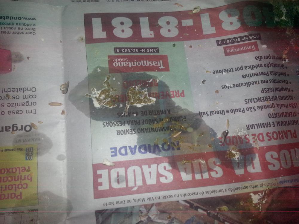 20150628_173447.thumb.jpg.596bb60684d019