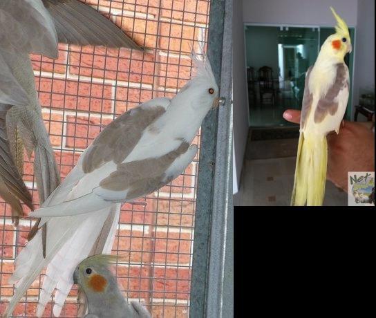 2e2h7d2.thumb.jpg.5b91dcd03a6408f63ea78d