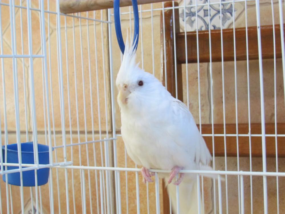 2u8htsi.thumb.jpg.e58cf3ce39f73dda2080fd