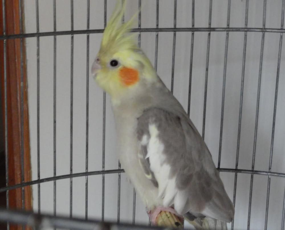 2unvmvm.thumb.jpg.2133547cbbcfca835be623