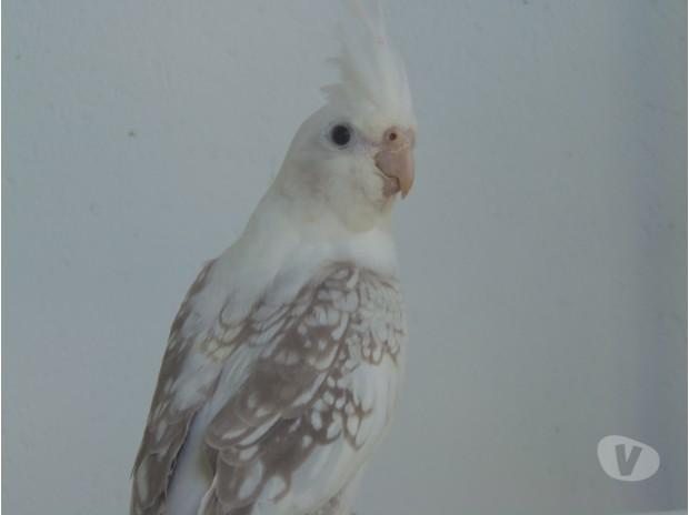 3.thumb.jpg.f93f902b9069af94f47b28bb057b