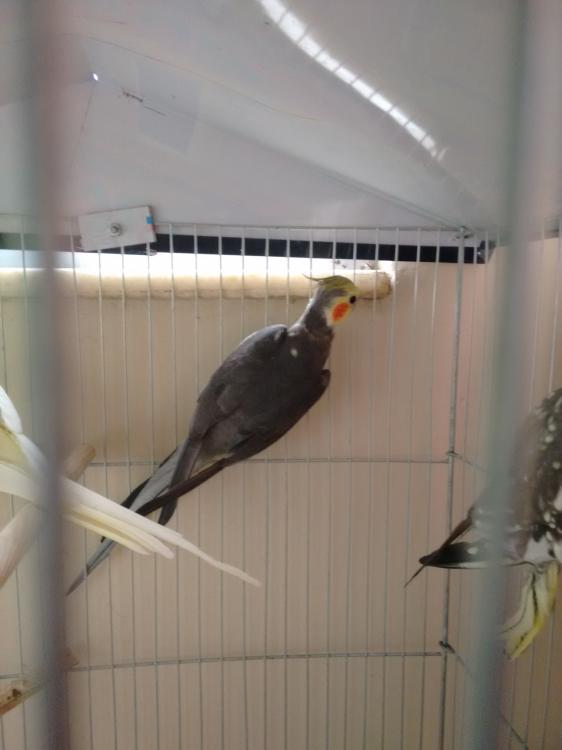 557b326043763_IMG_20150612_1551547981.th