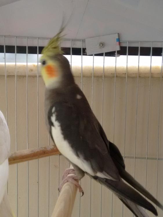 557b3281a06d1_IMG_20150612_1552141961.th