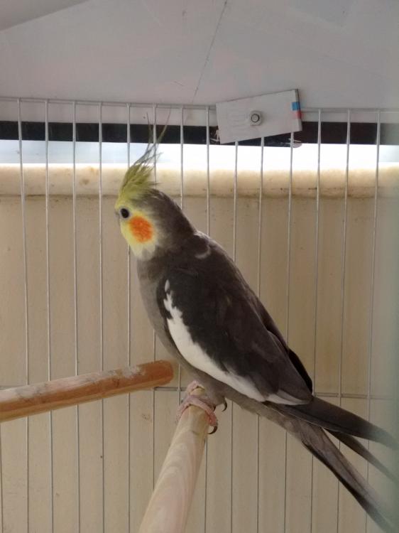 557b32a24f115_IMG_20150612_1552350571.th