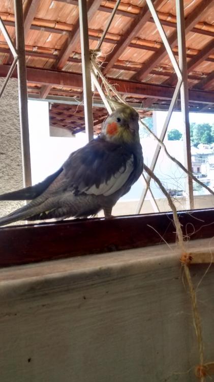 55895caf47065_IMG_20150623_101554062_HDR