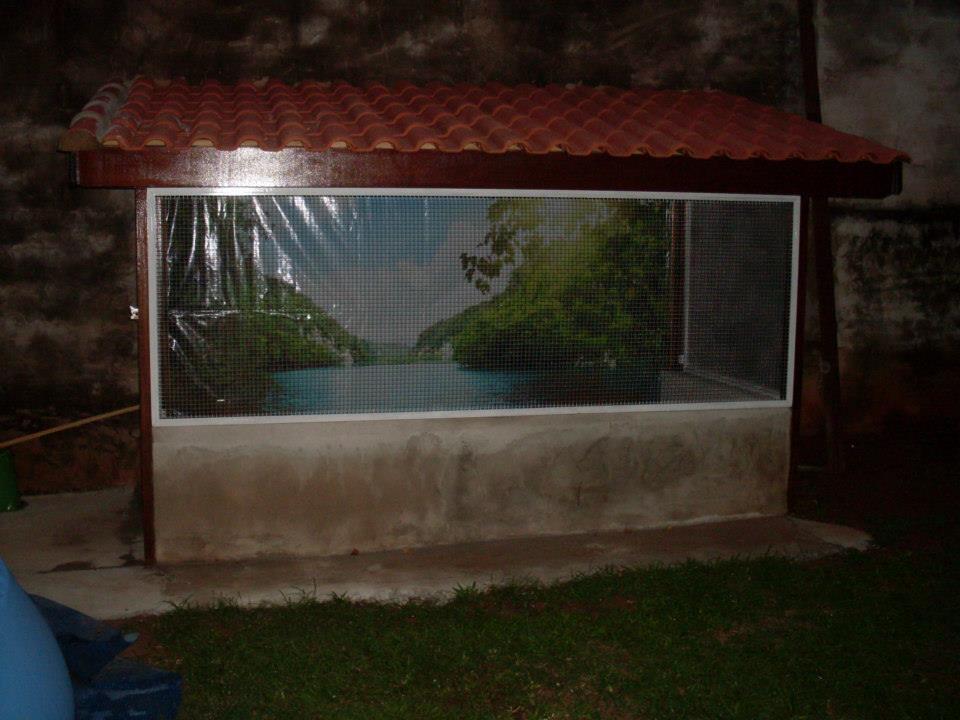 600148_285171738293083_834500776_n.thumb