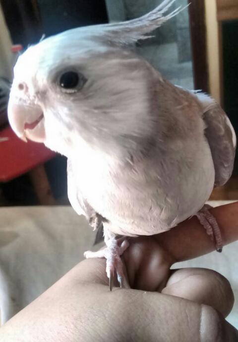 861da52486c9f5cd308d8987fce5e5d8.thumb.j