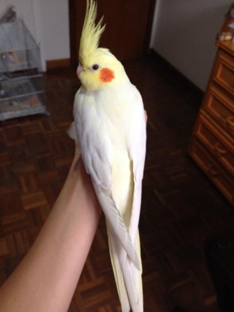 foto_1.thumb.JPG.eb78ba75e1d81c582a23a3b