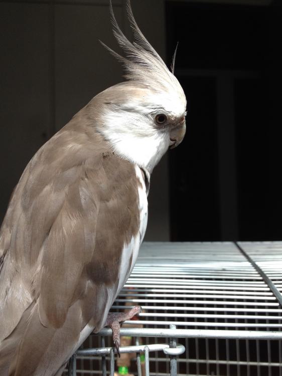 foto_3_(1).thumb.JPG.0b7b6bef0bc9175276f