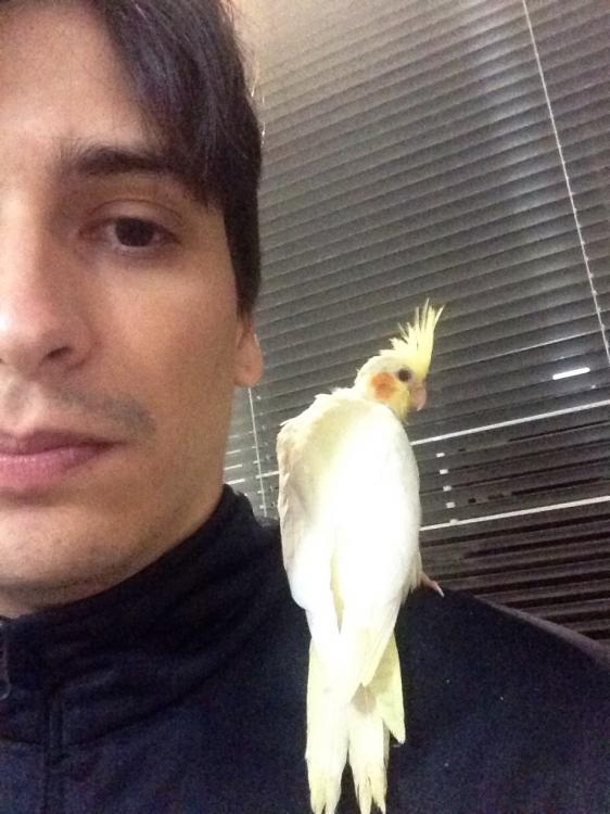 image.thumb.jpg.be26fecea6942f71db2380fe