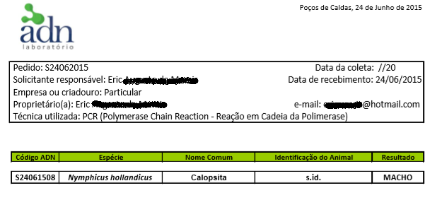 resultado.thumb.PNG.b1b9dceecbb8fb166a2f