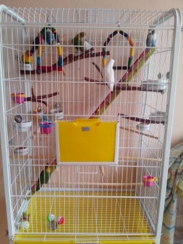 10882201_327689630769512_210118358316954