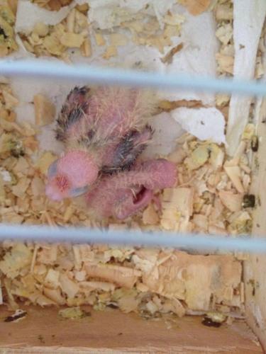 16179_968407069890916_750736787972952623