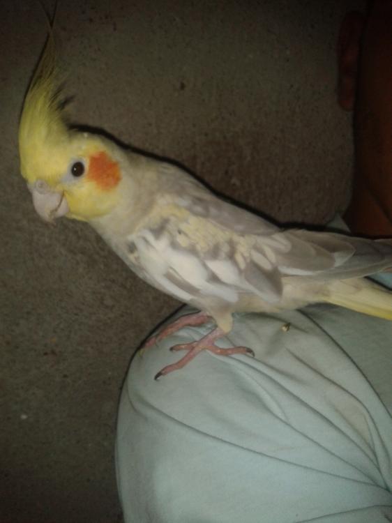 2014-08-10 19.23.40.jpg