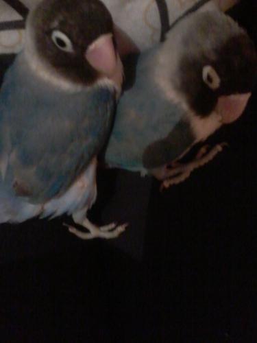 2015-05-09 17.36.20.jpg