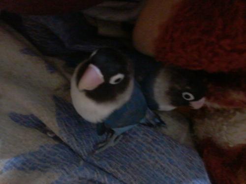 2015-06-21 10.35.39.jpg