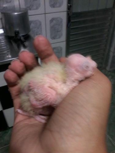 2015-06-26 10.41.50.jpg