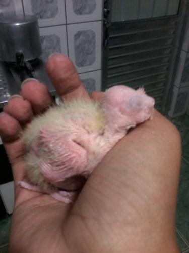 2015-06-26 10.41.53.jpg