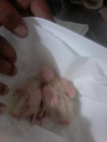 2015-06-27 10.25.22.jpg