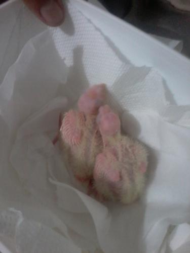 2015-06-27 10.25.33.jpg