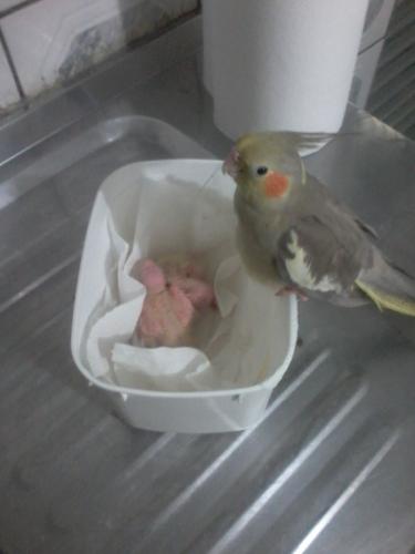 2015-06-27 10.26.33.jpg