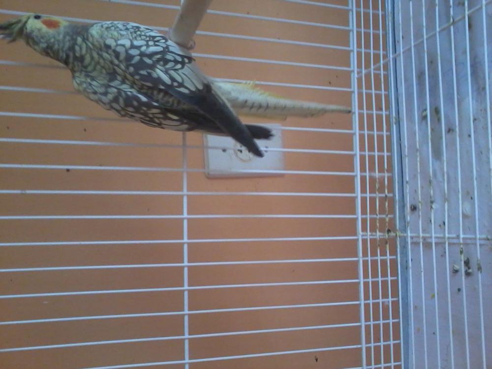 2015-06-27 15.48.03.jpg