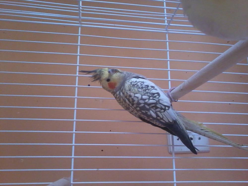 2015-06-27 15.48.08.jpg