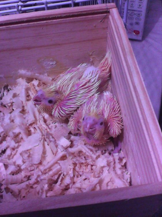 2015-07-03 07.34.41.jpg