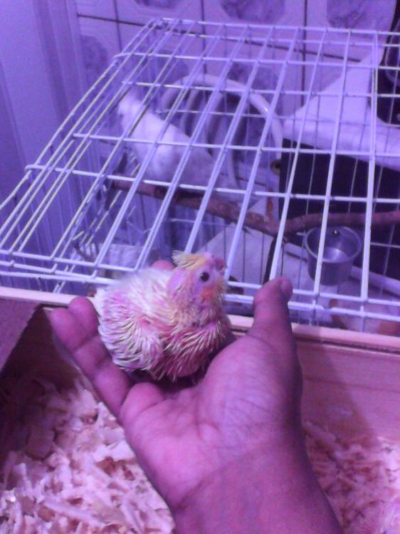 2015-07-03 07.35.36.jpg