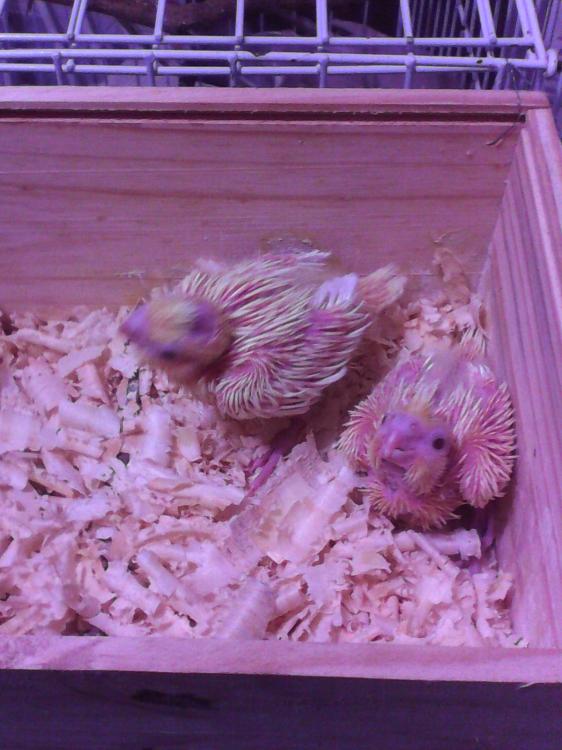 2015-07-03 07.36.05.jpg