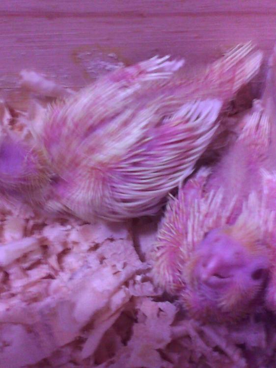 2015-07-03 07.36.18.jpg