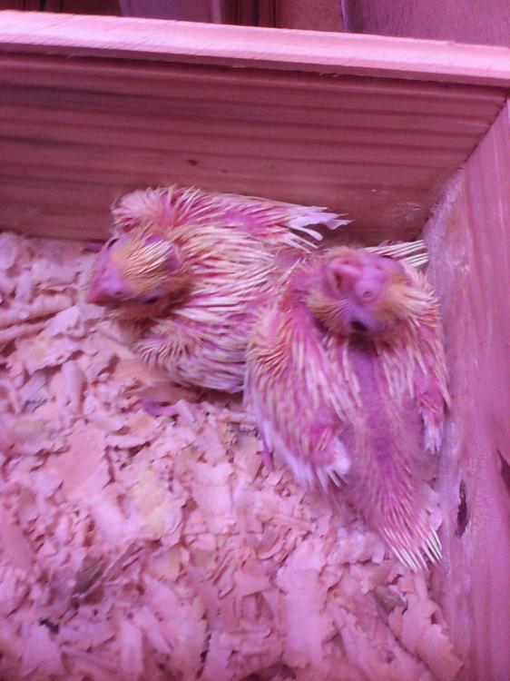 2015-07-03 13.16.48.jpg