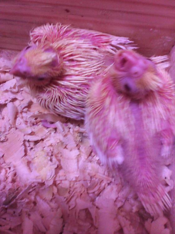 2015-07-03 13.16.54.jpg