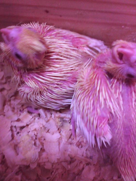 2015-07-03 13.17.05.jpg