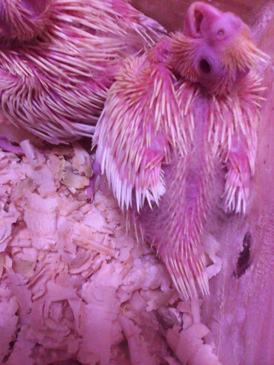 2015-07-03 13.17.18.jpg